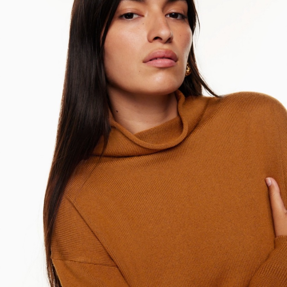 Aritzia Cyprie Sweater
